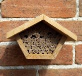 Mason bee house.jpg Mason bee house.jpg