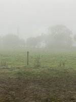 IMG_3693.jpeg IMG_3693.jpeg