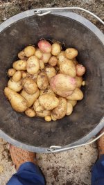 spud4.jpg spud4.jpg