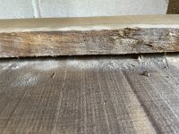 IMG_2501.jpeg