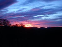 DSC04498.jpg