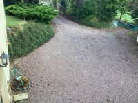 IMG_3703.jpeg IMG_3703.jpeg