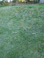 20240913_075359.jpg