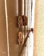 20240914_140100.jpeg