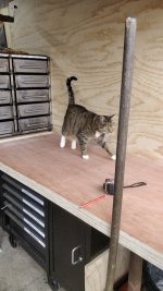 new_workbench.jpg new_workbench.jpg
