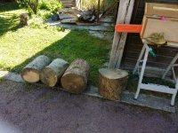 IMG_20180723_101010852.jpeg