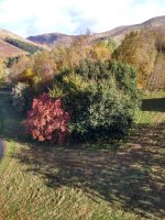 IMG_20241019_120817139_HDR[1].jpg