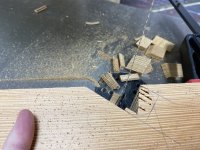 IMG_2470.jpeg IMG_2470.jpeg