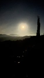 IMG_7980.jpeg