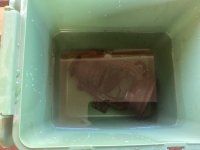 IMG_3824.jpeg