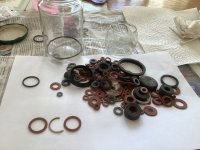 IMG_3825.jpeg
