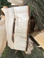 IMG_3518.jpeg IMG_3518.jpeg
