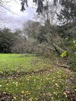 IMG_5918.jpeg IMG_5918.jpeg