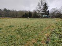 the site (Medium).jpg the site (Medium).jpg