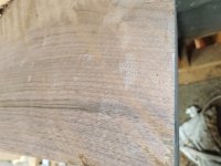 wood id 3 18-4-25.jpg wood id 3 18-4-25.jpg