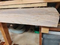 wood id 4 18-4-25.jpg wood id 4 18-4-25.jpg
