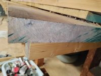 wood id 5 18-4-25.jpg wood id 5 18-4-25.jpg