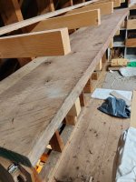 wood id 6 18-4-25.jpg wood id 6 18-4-25.jpg