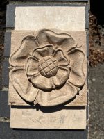 IMG_3646.jpeg
