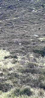 IMG_3922.jpeg