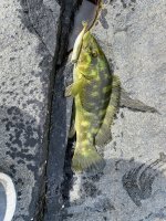 IMG_3864.jpeg