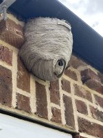 IMG_4469.jpeg