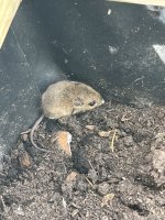 IMG_4473.jpeg