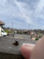 IMG_0406.jpeg