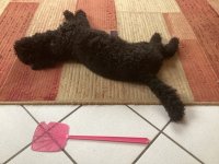 IMG_4255.jpeg