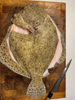 Turbot 31 July.jpeg