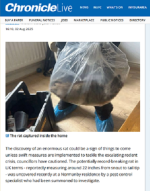 rat.png