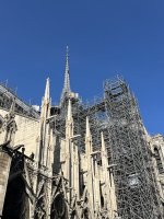 IMG_5028.jpeg