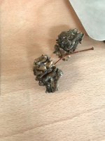 IMG_0587.jpeg