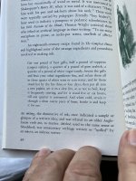 IMG_3713.jpeg