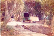 IMG_4432.jpeg