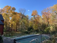 IMG_3872.jpeg
