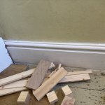 IMG_3878.jpeg IMG_3878.jpeg
