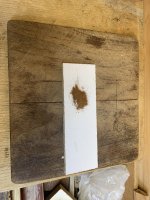 IMG_0555.jpeg