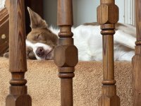 IMG_3812.jpeg