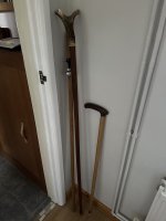 IMG_6140.jpeg