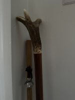 IMG_6141.jpeg