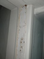 20260210_064106.jpg