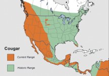 Mountain Lion Range in the US.JPG