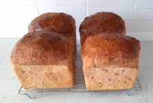 Bread2.jpg