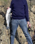 IMG_9763.jpeg