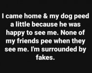 Happy_Dog.jpg