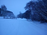 Snow1.jpg