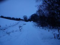 Snow2.jpg