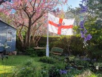 8cfa5c06-27d6-4096-bbcf-457d0eb14e9f (1).jpg