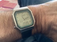 IMG_4853.jpeg